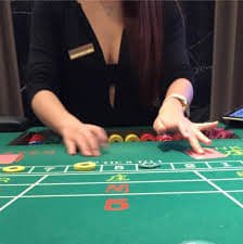 5sh bet